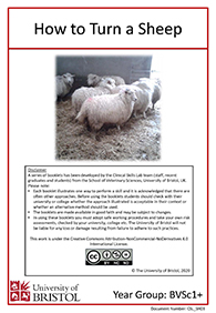 Clinical skills instruction booklet cover page, How to Turn a Sheep